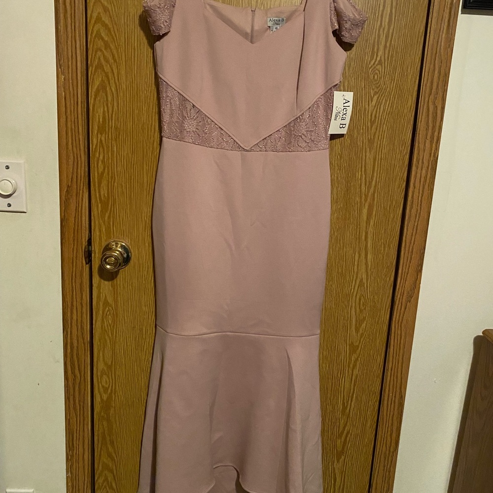Pale pink, new dress, size 10, brand Alexa B. Nites - Picture 1 of 3